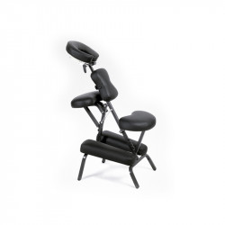 Bifull Massage and Tattoo Chair Black Order