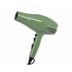 Perfect Beauty Professional Dryer with UV Light Dryer Green