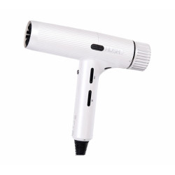 Perfect Beauty Runway Hu600 Professional Ionic Hair Dryer