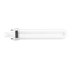 Thuya Bulbs Lamp Wood
