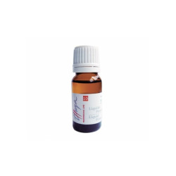 Thuya Liquid Primer (30ml)