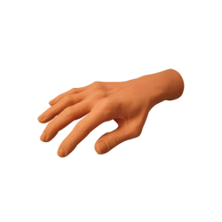 Thuya Practice Hand