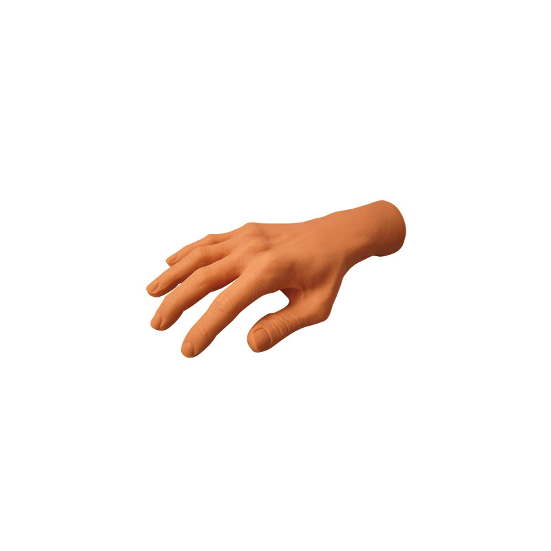 Thuya Practice Hand