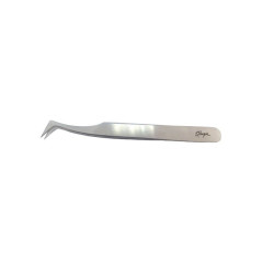 Thuya Pinza Extensions Shape L