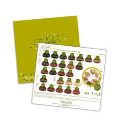 Farmavita Color Chart Ammonia-Free Hair Dye Farmavita