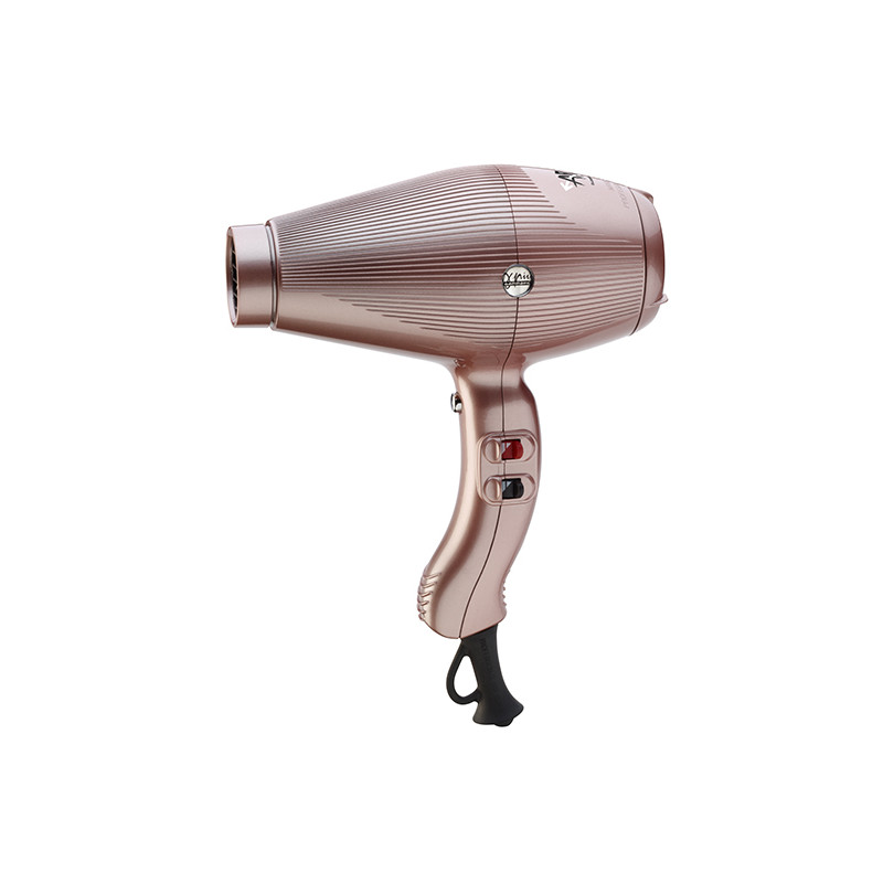 Gamma Piu Hair Dryer Aria Gold Rose
