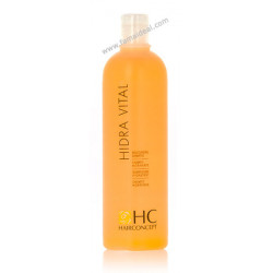 Hairconcept Hydra Vital Shampoo (500ml)