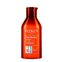 Redken Frizz Dismiss Shampoo 