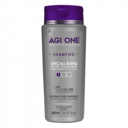 Agi One Intenseliss Shampoo Maintenance (500ml)