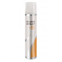Torroglosa Miscelanea Gloss Spray (200ml)