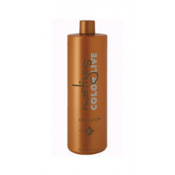 Torroglosa Technicians Matizes Color Live Activator (20vol)