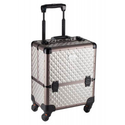 D'Orleac Medium Case with Titanium Trolley