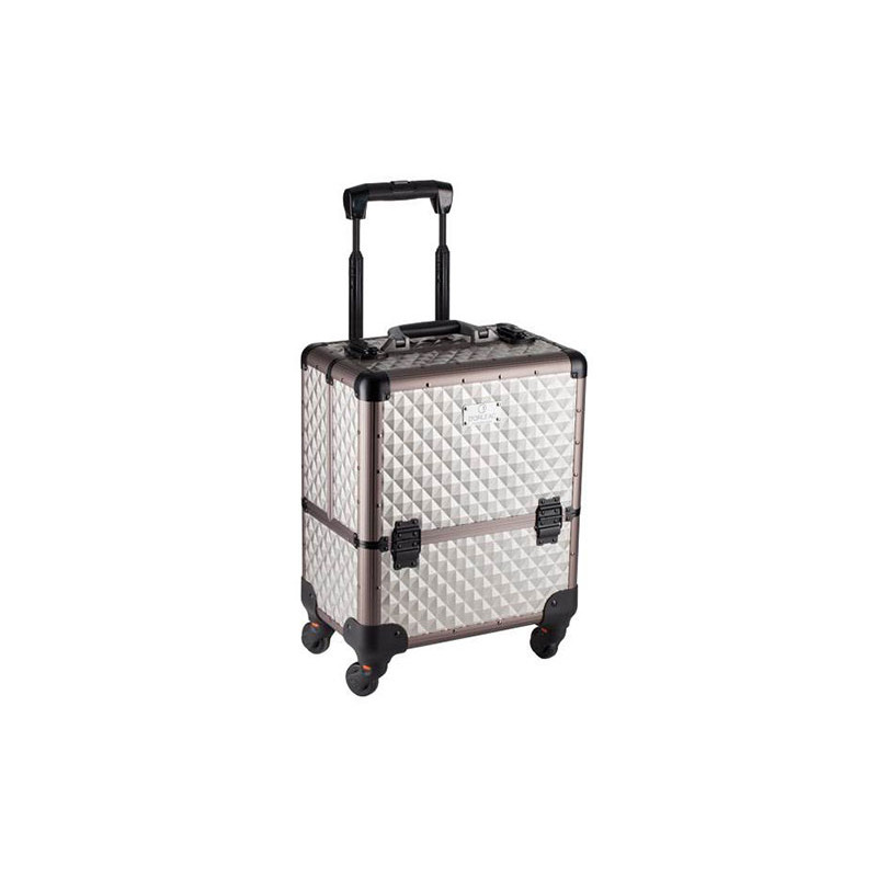 D'Orleac Medium Case with Titanium Trolley