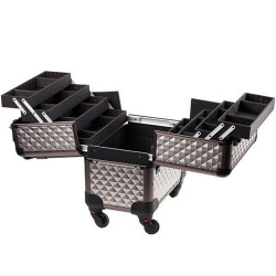 D'Orleac Medium Case with Titanium Trolley