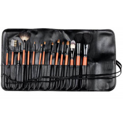 D'Orleac Blanket with 15 Brushes
