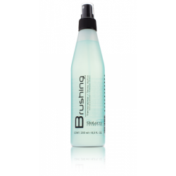 Salerm Shape Maintenance Brushing (250ml)