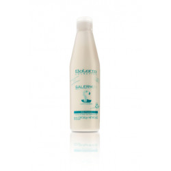 Salerm 21  Leave-in Conditioner 