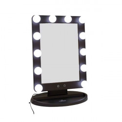 D'orleac Black Dressing Mirror with Light