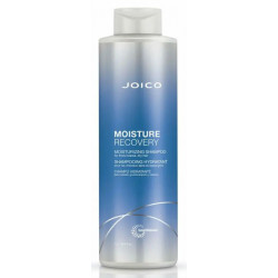 Joico Moisture Recovery Shampoo