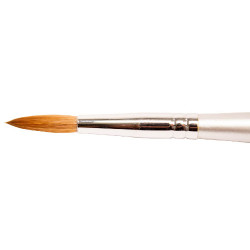 Thuya Brush nº 10