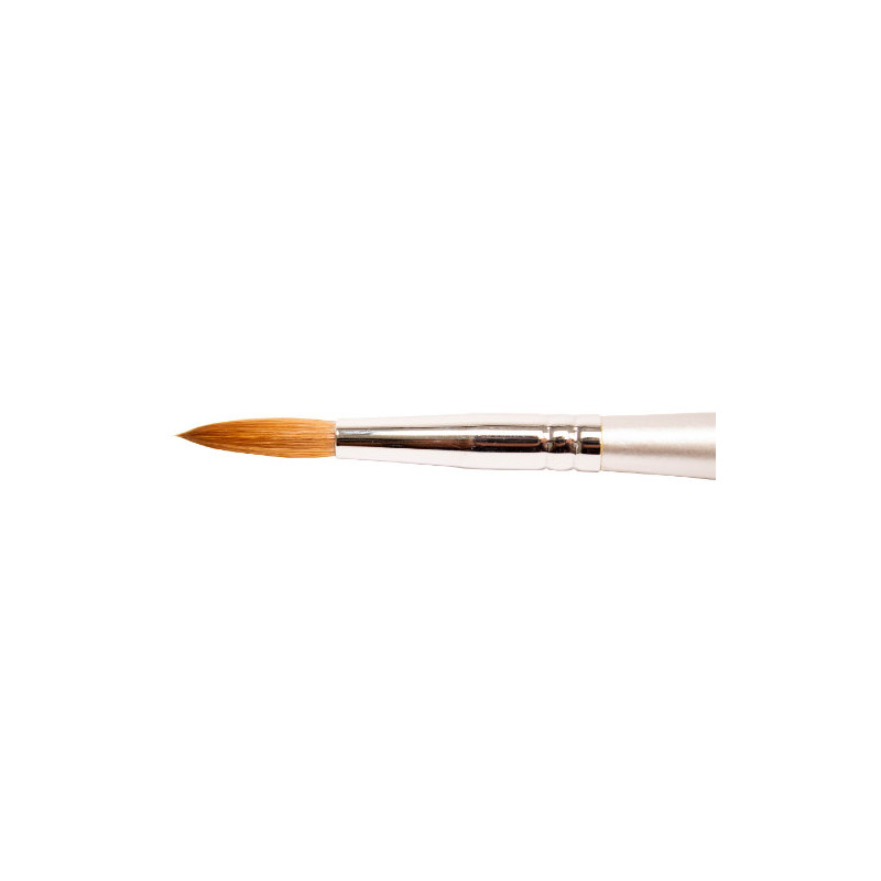 Thuya Brush nº 10
