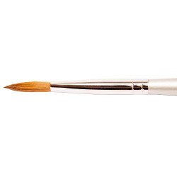 Thuya Brush nº 6