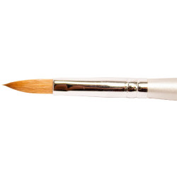Thuya Brush nº 8