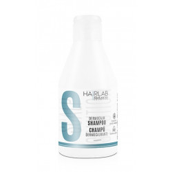 Salerm Hairlab Dermocalm Shampoo 