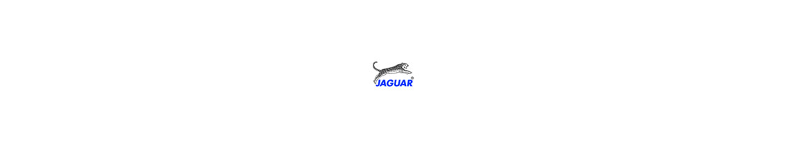 Catalog from Jaguar of professional scissors